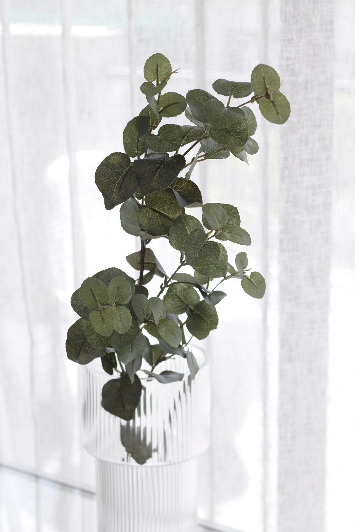 Faux eucalyptus stems arching in front of sheer white curtains