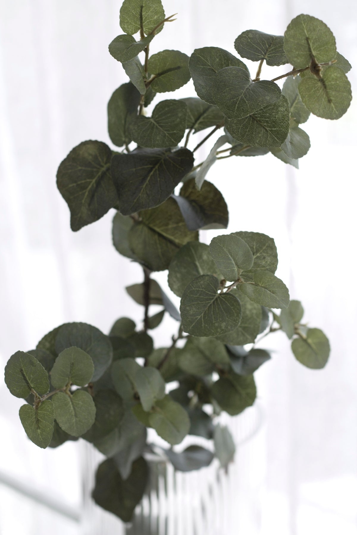Close view of round grey-green faux eucalyptus leaves
