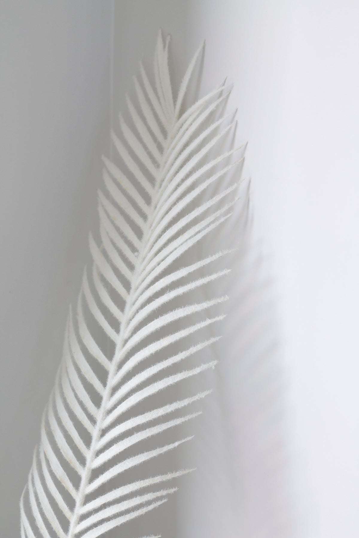 White Palm Leaf Stem, 1m Decorative Faux Frond