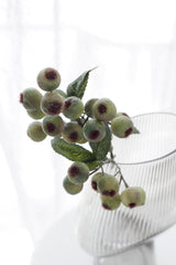 Hawthorn Berry - Green