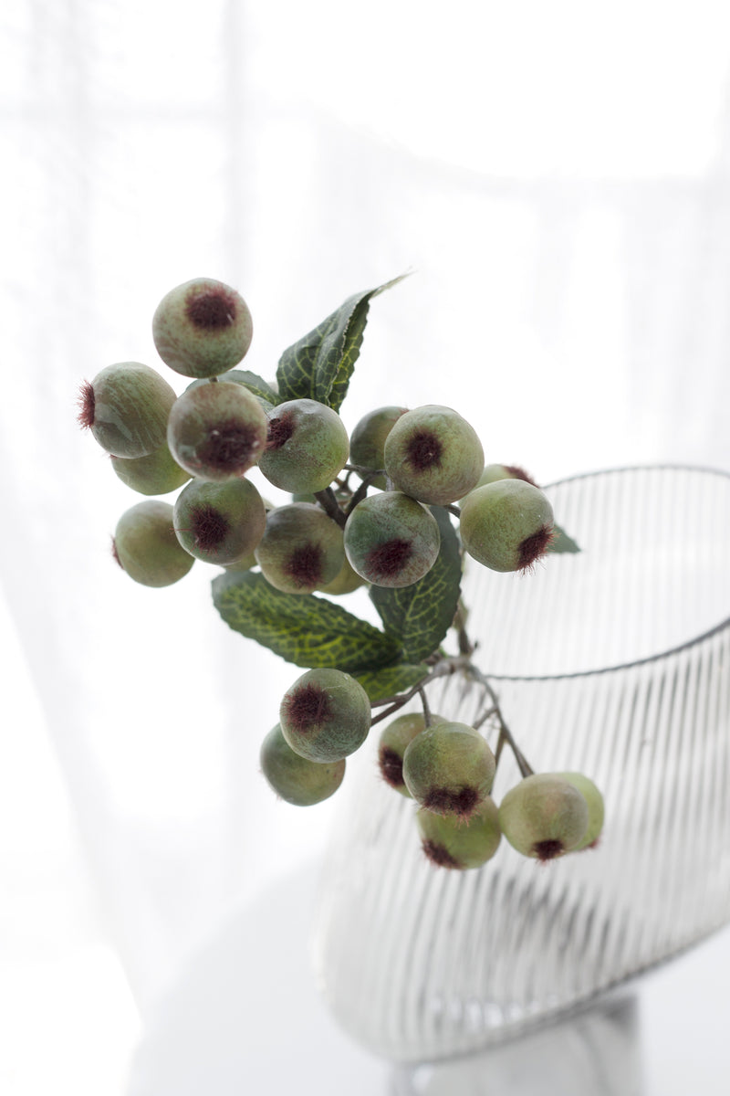 Hawthorn Berry - Green
