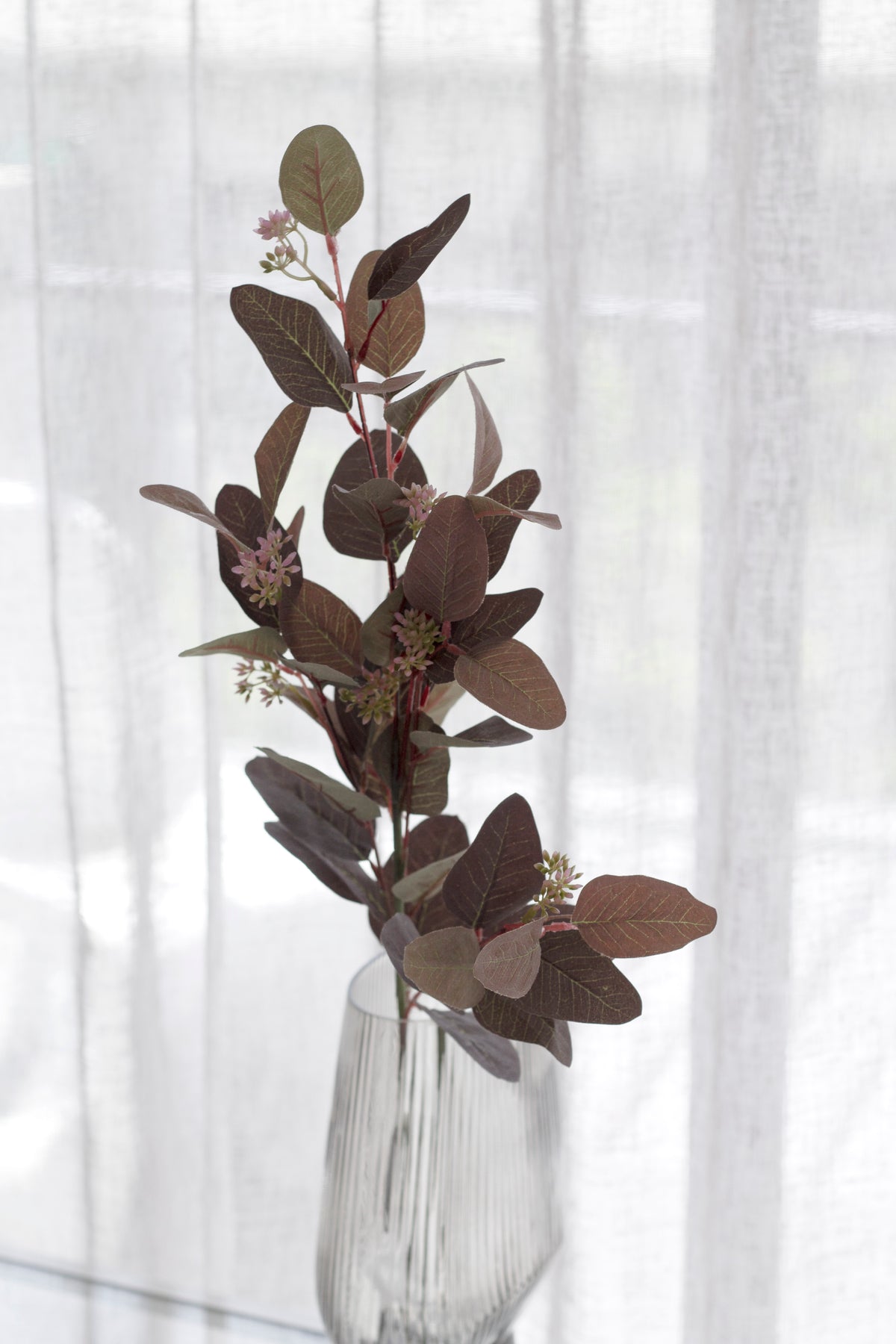 Burgundy seeded gum branch in a glass vase against a sheer white curtain