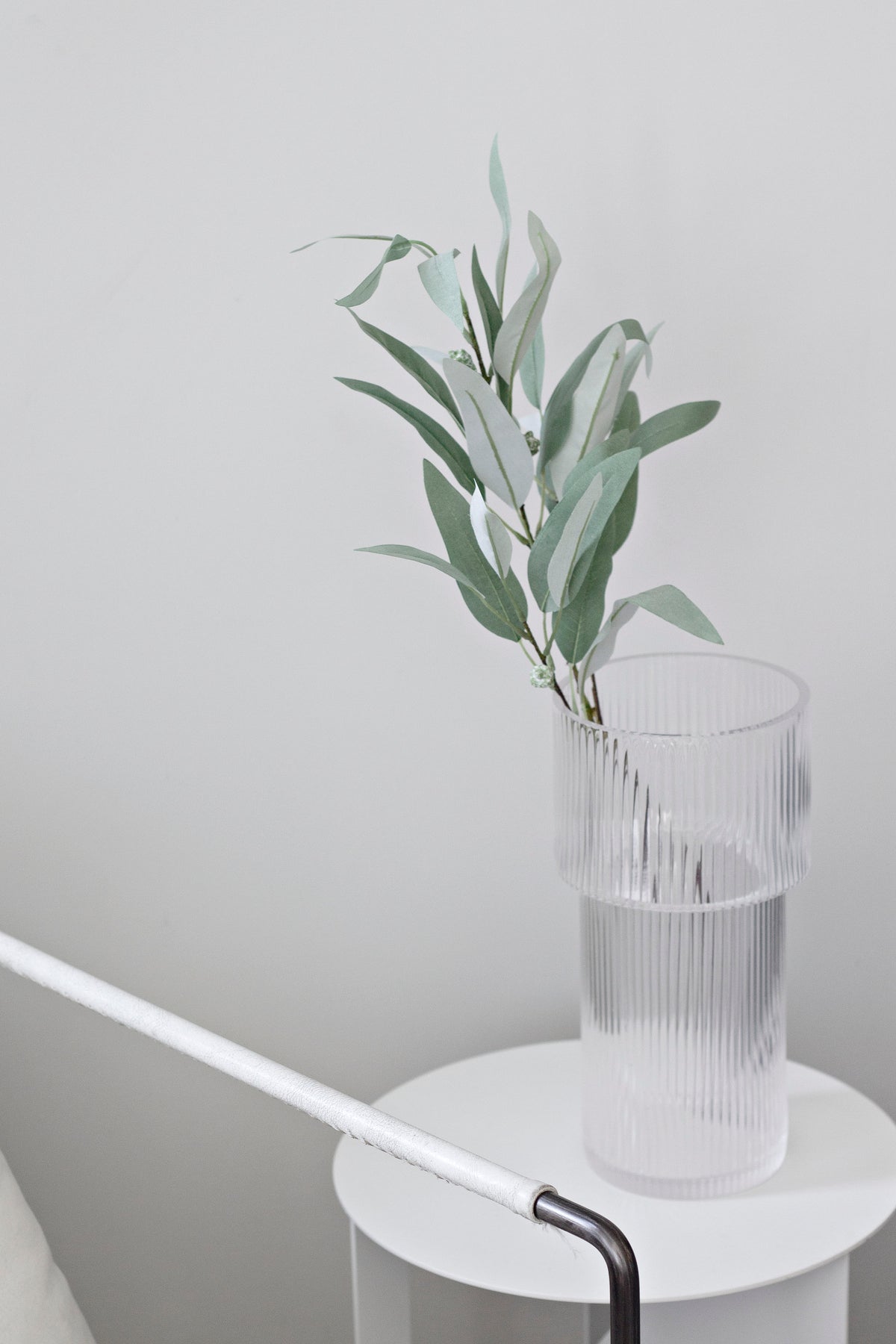 The stem in a clear glass on a small white side table in soft daylight