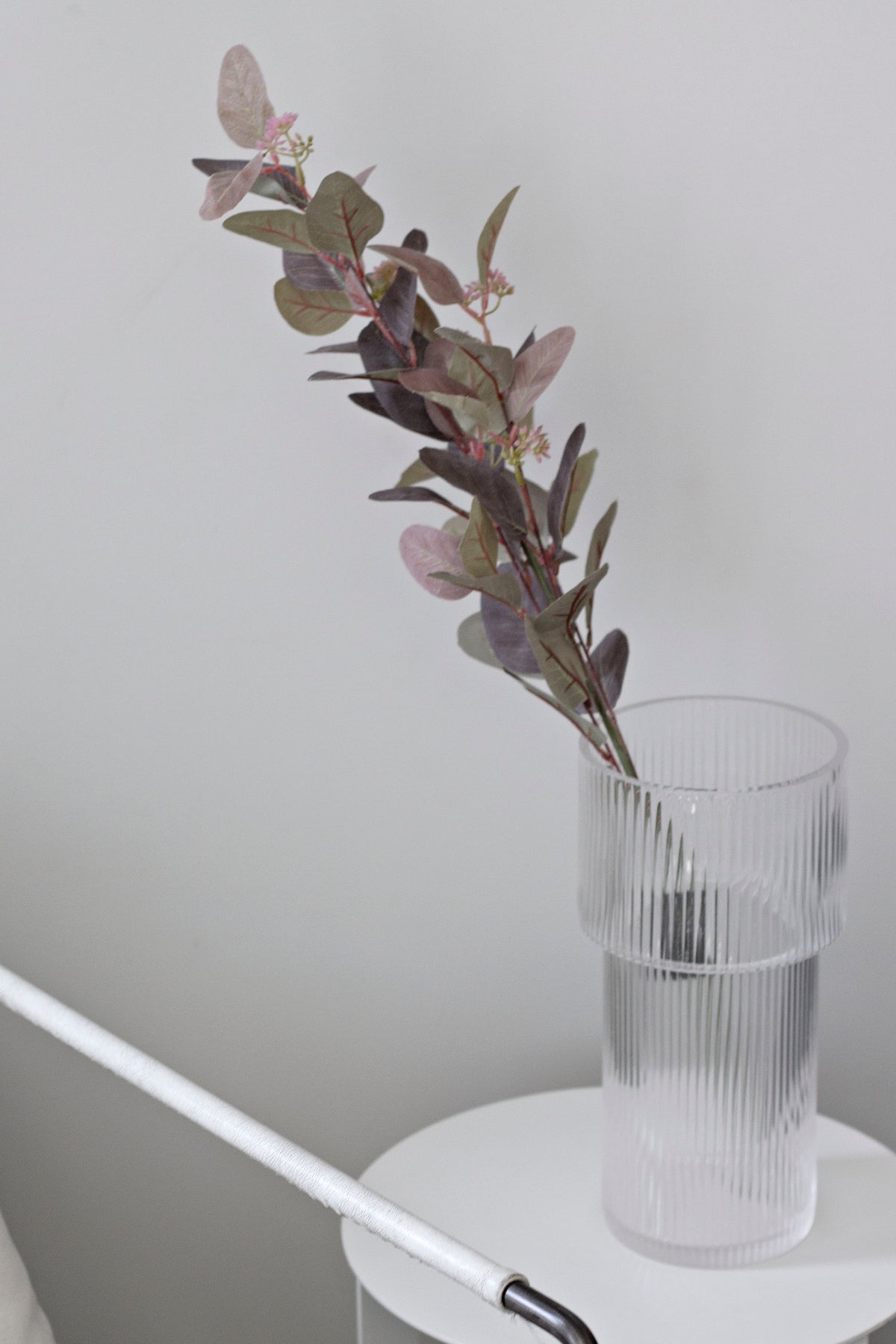 Burgundy seeded gum stem in a ribbed glass vase on a white side table