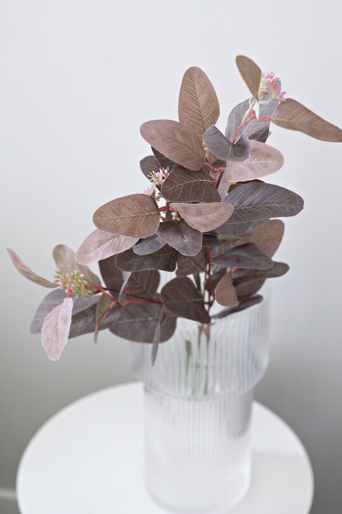 Seeded gum stem in a ribbed glass vase on a white plinth