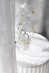 Real Touch Moth Orchid White