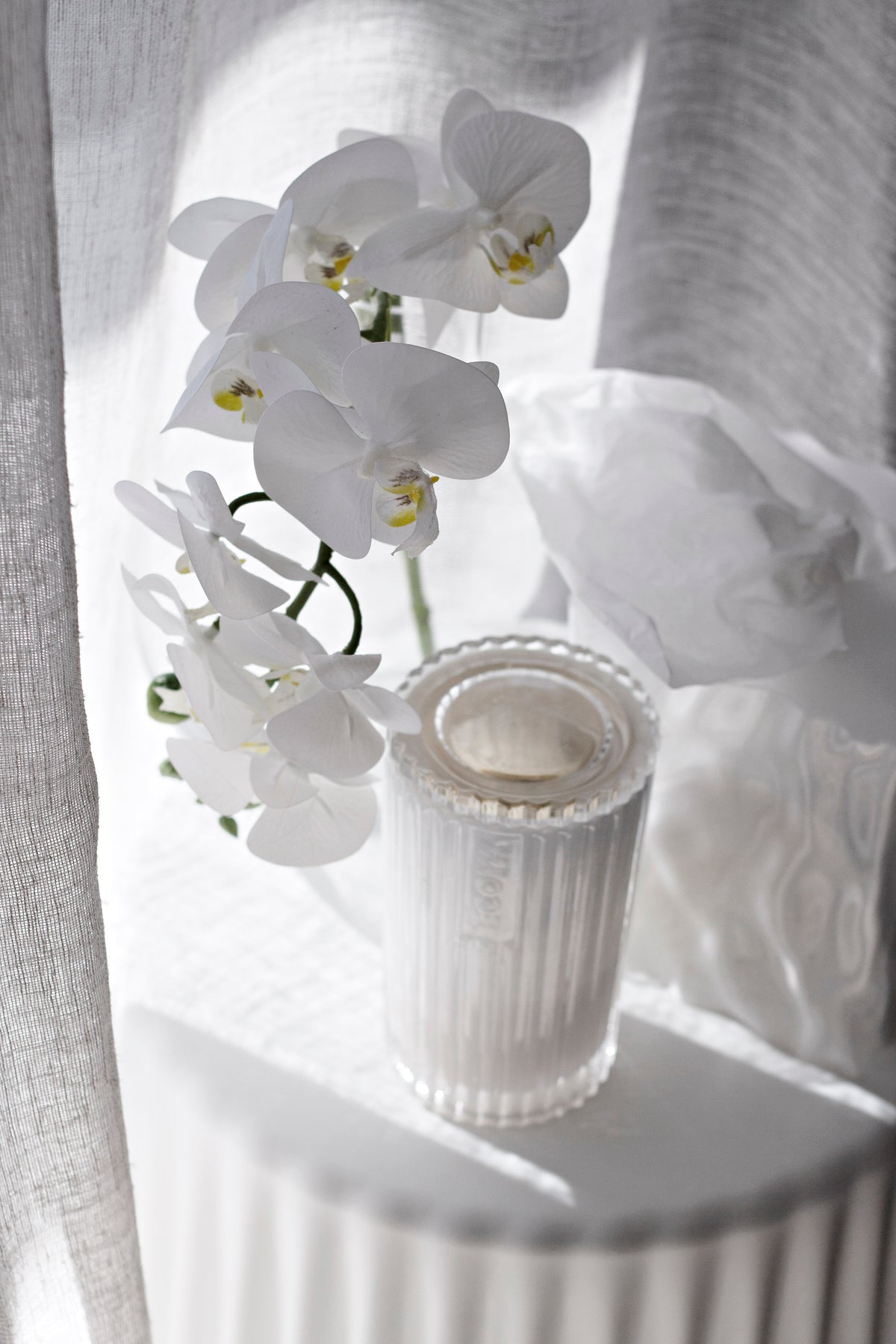 White moth orchid arching over a fluted white plinth beside a ribbed candle holder