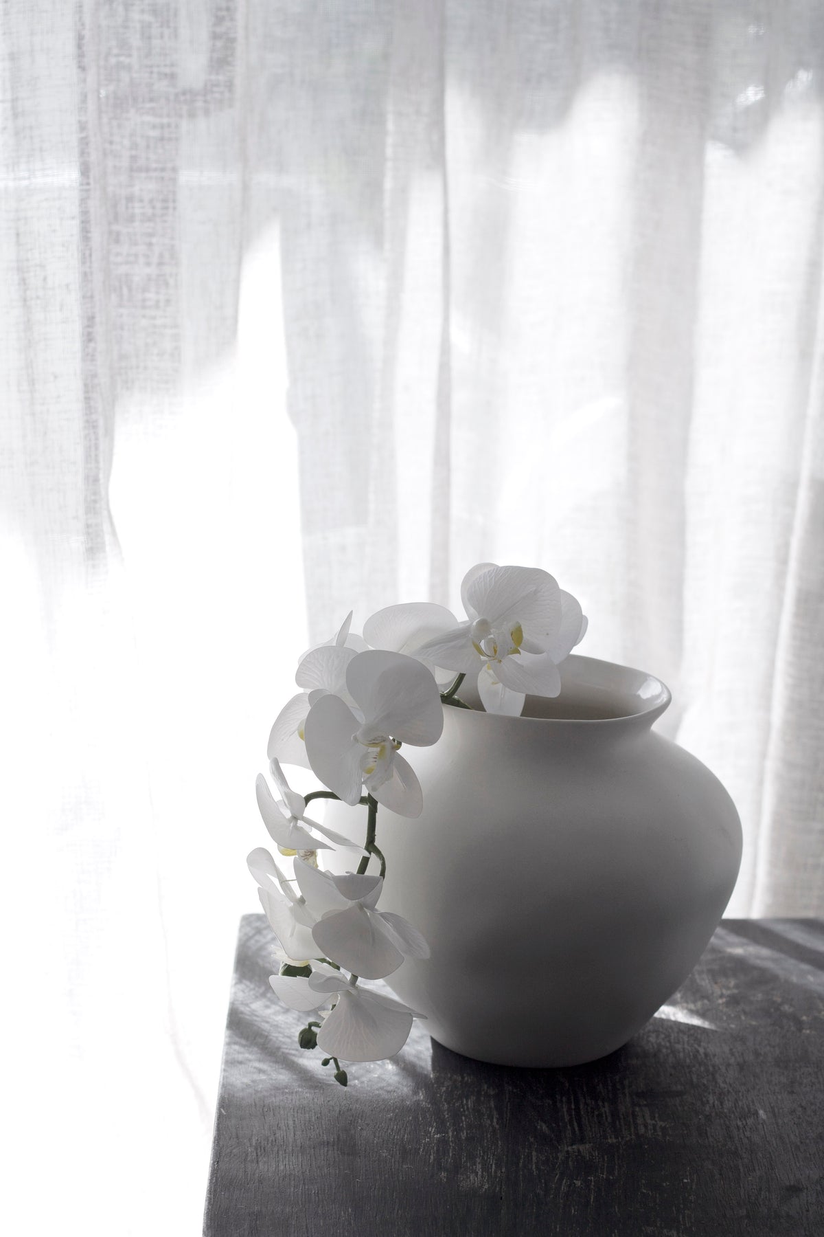 Venus Vase small and large sizes styled together on a shelf