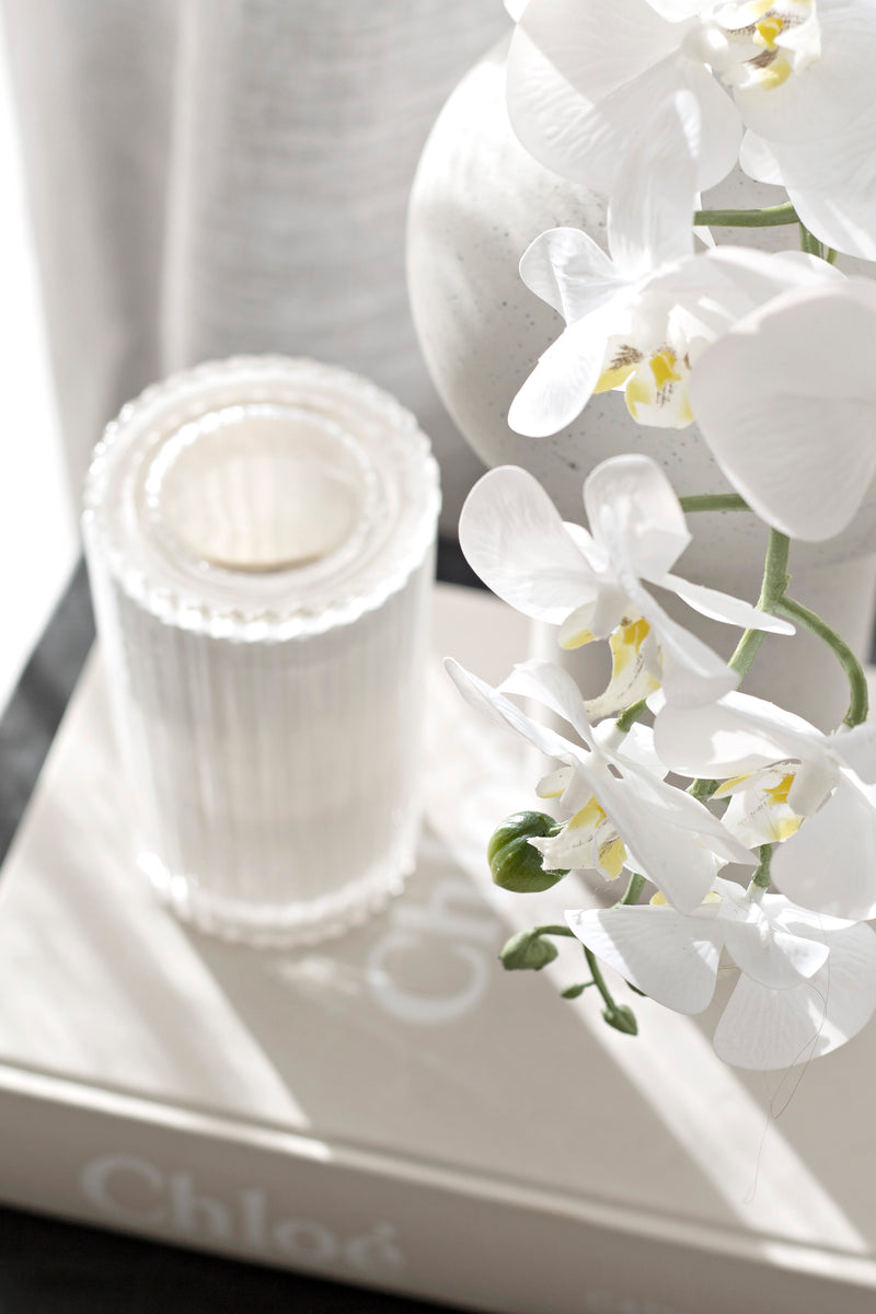 Real Touch Moth Orchid White