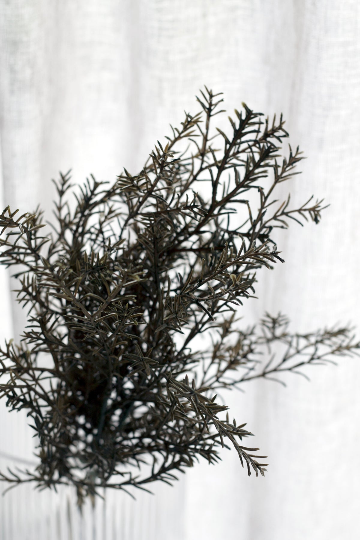 The rosemary bundle spreading wide in a ribbed glass vase against white linen