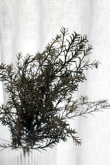 Rosemary Bundle