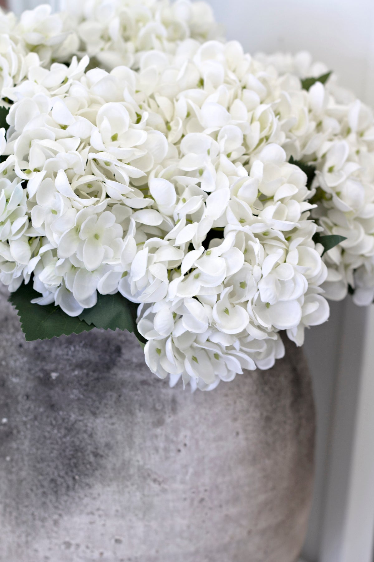 The stone urn of white hydrangeas seen from the side in soft daylight