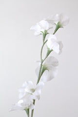 Sweet Pea Cream Faux Stem | 63cm