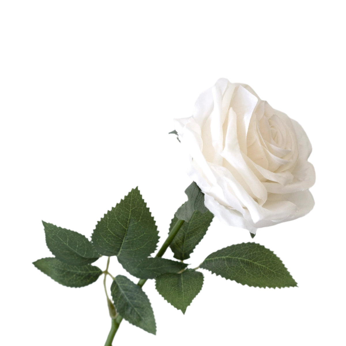 Single faux rose in cream with dark green leaves on a plain white background