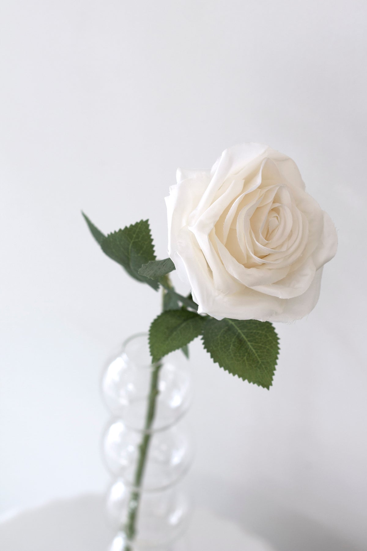 Single cream rose in a clear bubble glass bud vase