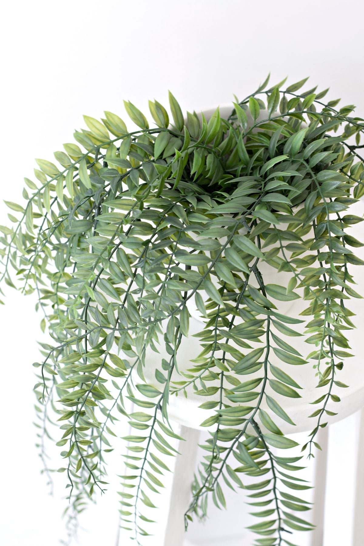 Close view of the fern fronds spilling over a white stool in bright window light