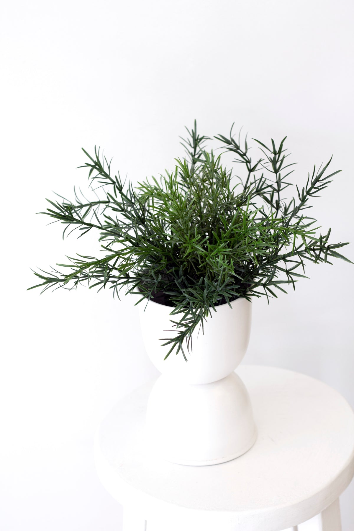 Asparagus Fern Bush, 22cm Potted Faux Plant