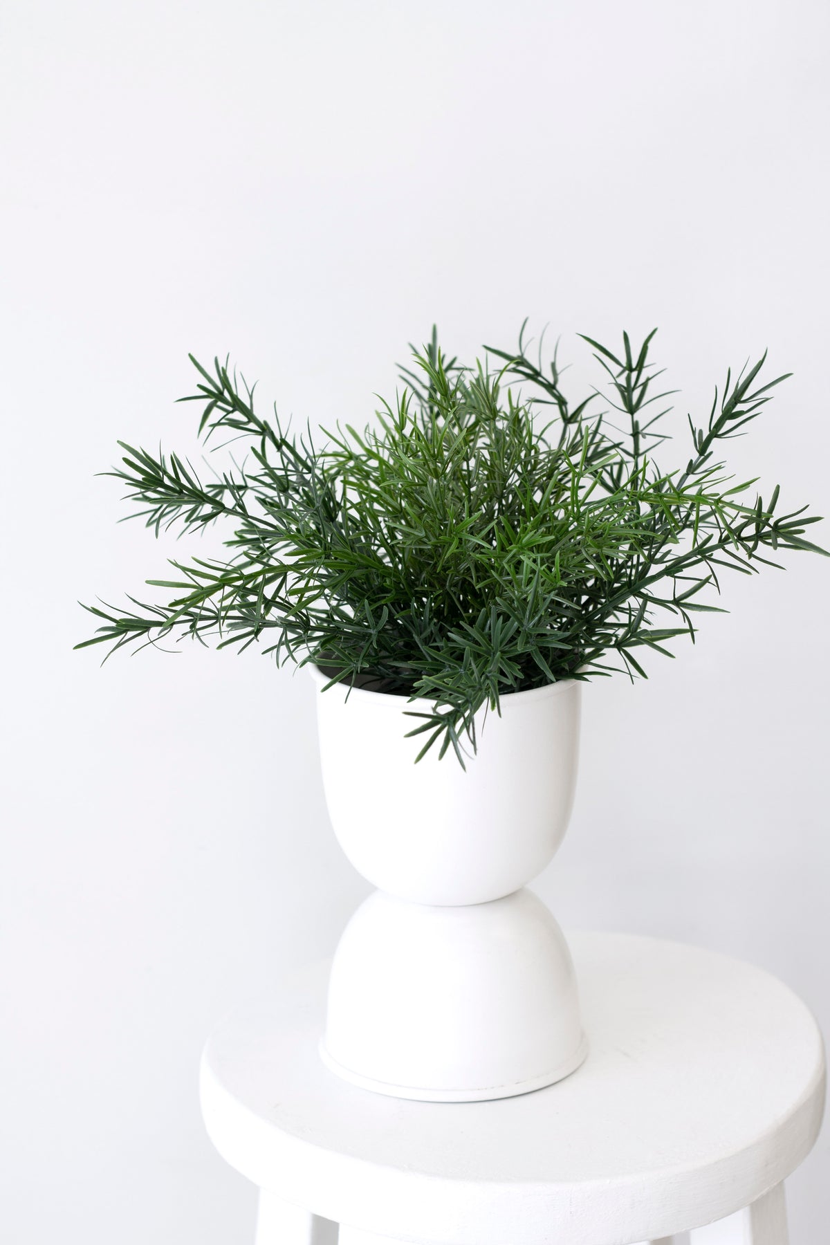 Asparagus Fern Bush, 22cm Potted Faux Plant