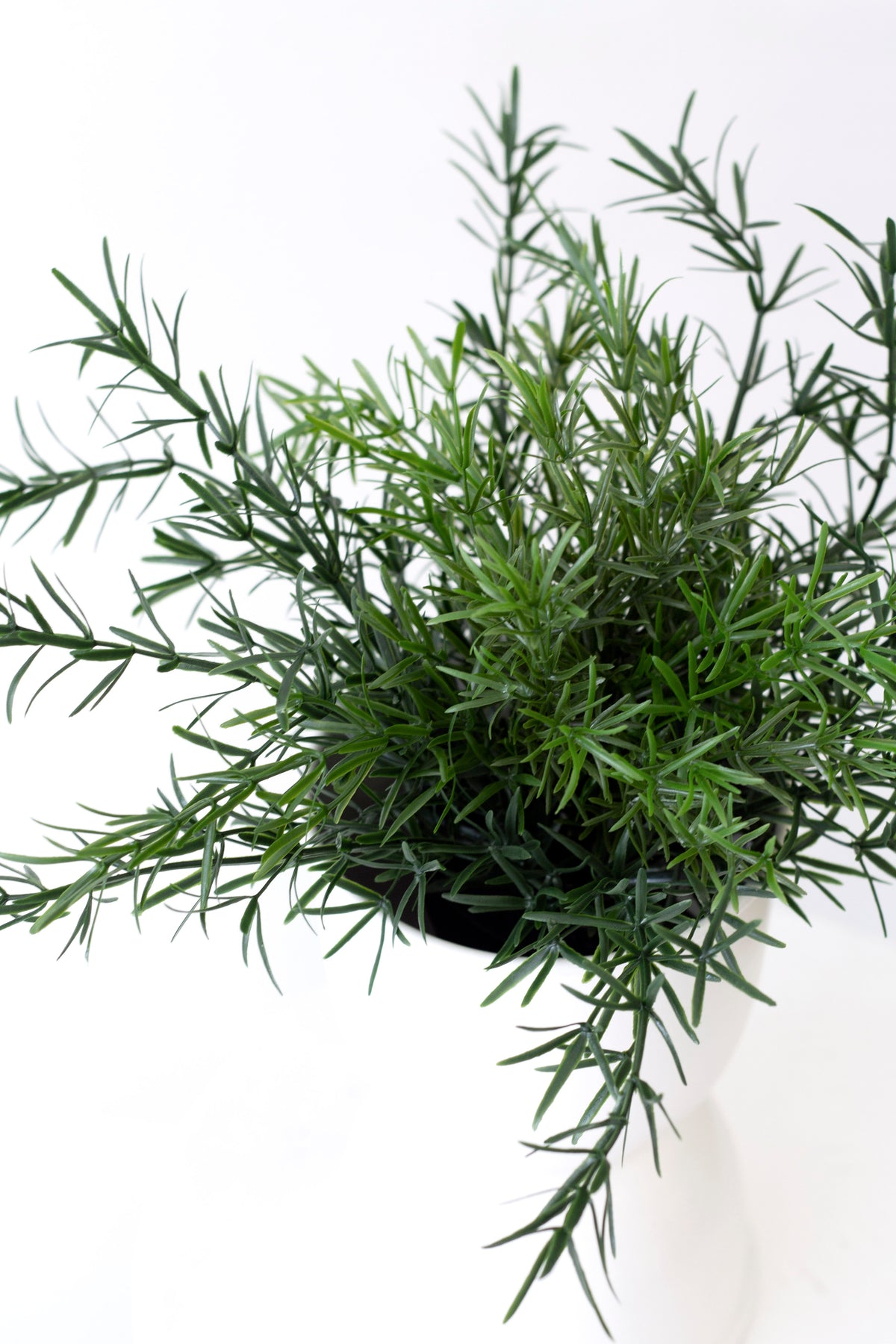 Asparagus Fern Bush, 22cm Potted Faux Plant