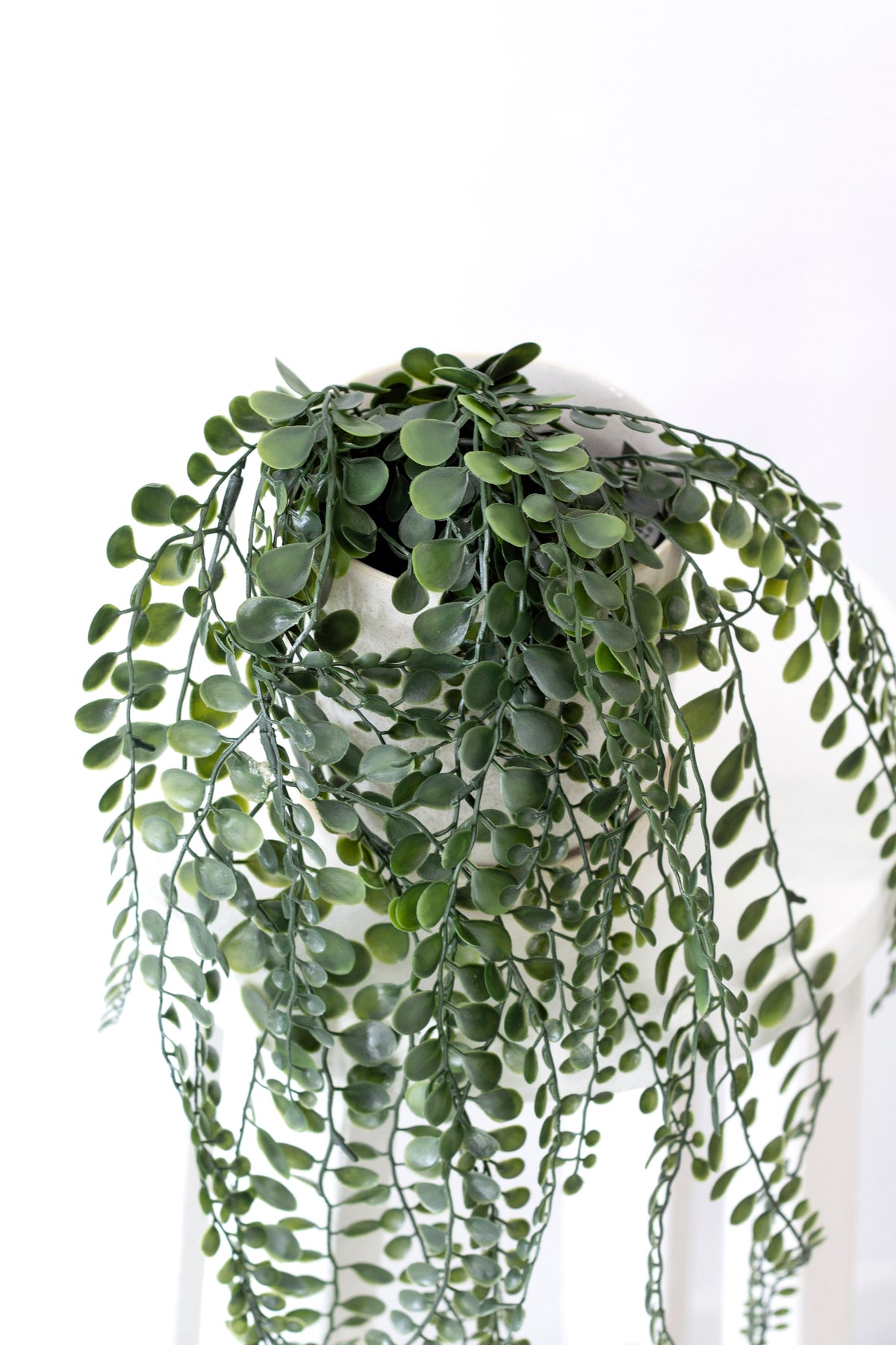 Top view of the faux pea leaf bush and its dense trailing foliage