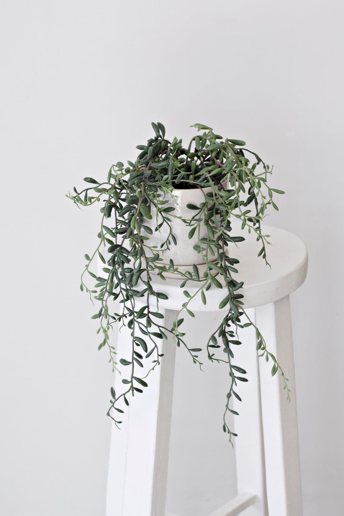 String of bananas on a white stool, trailing strands falling past the legs