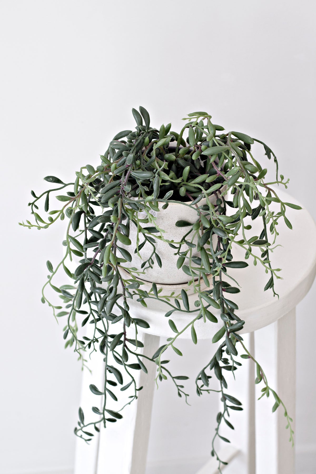 String of bananas in a white pot on a stool, held in a slim brass ring stand