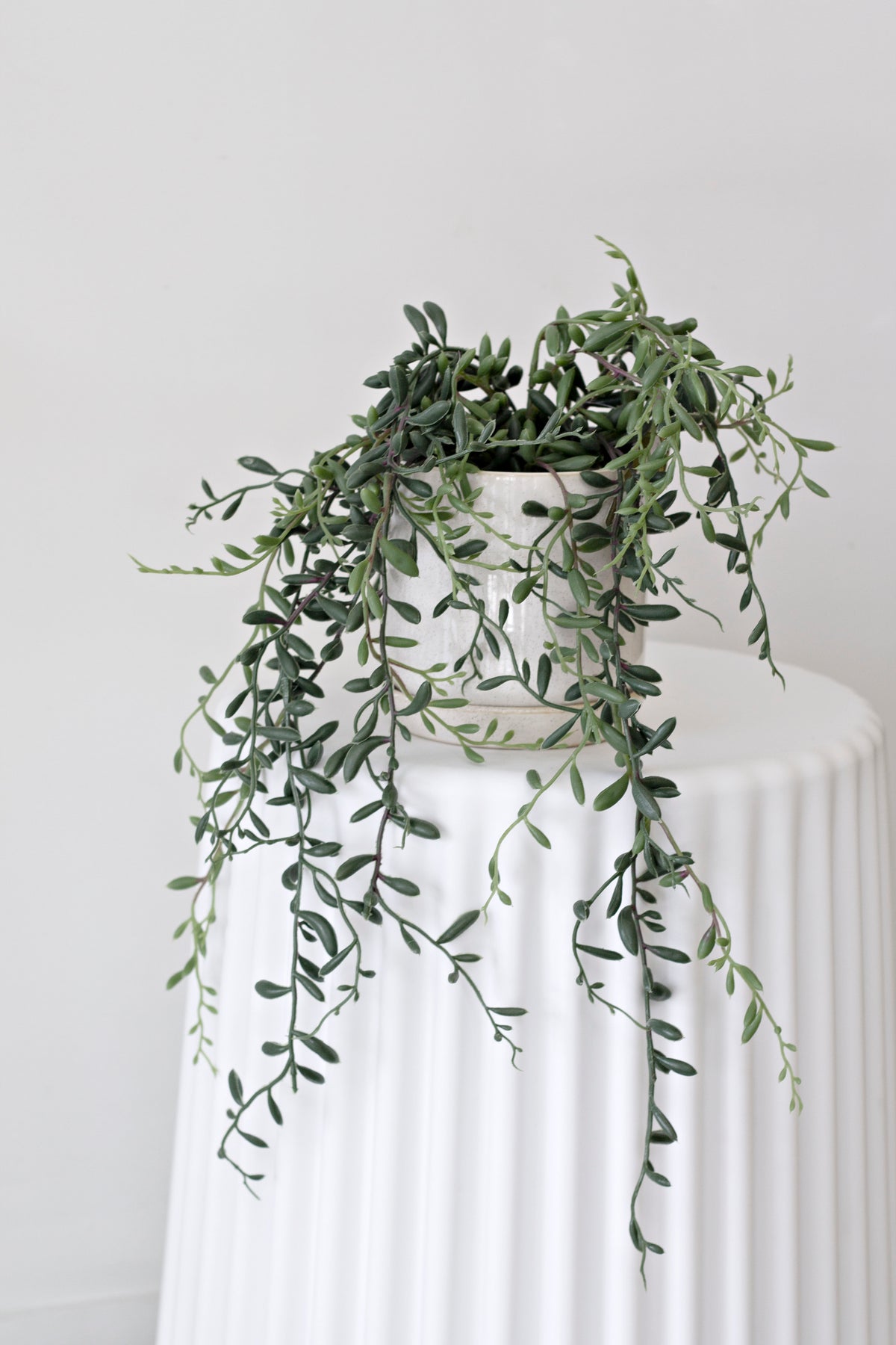 String of bananas in a pale pot on a white fluted plinth against a plain wall