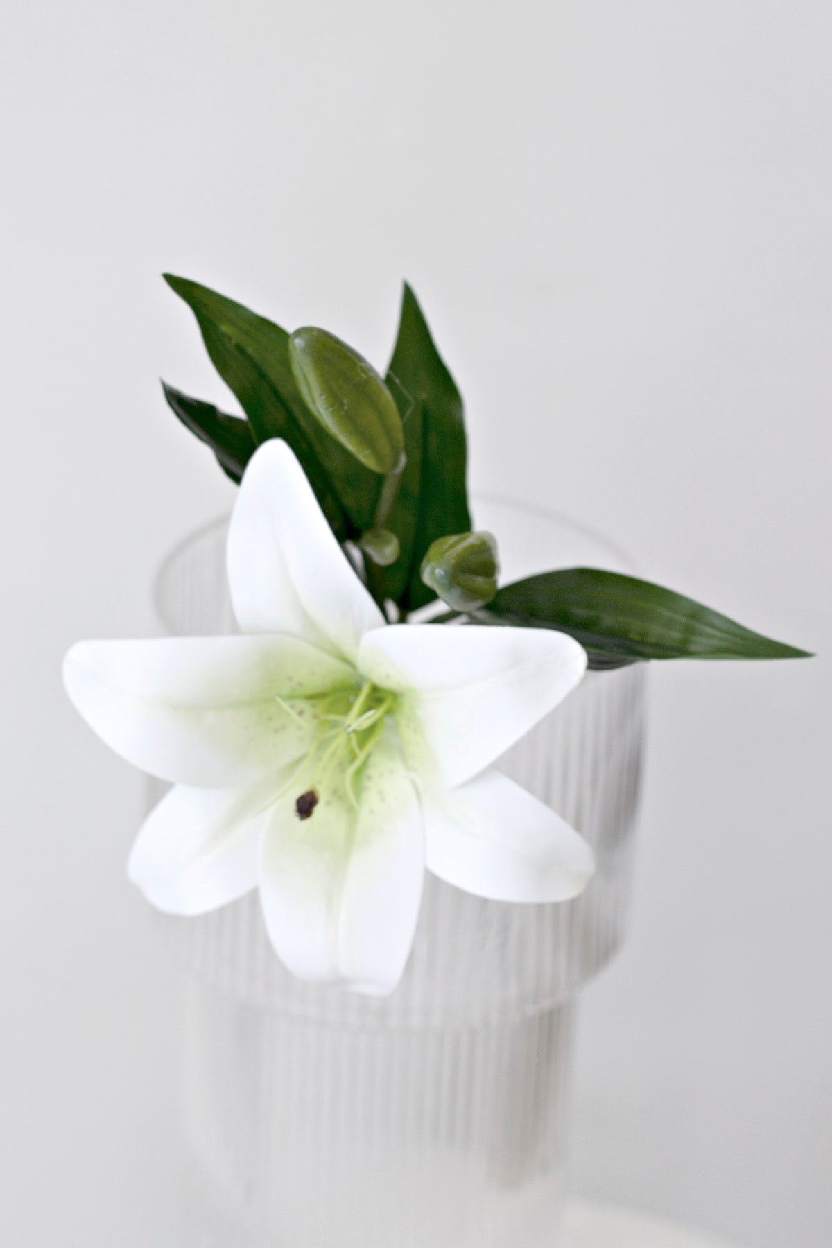 White market lily in a sculptural white vase against a pale background