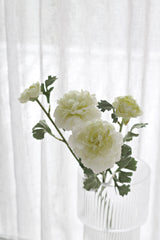 Garden Ranunculus- Cream/Green