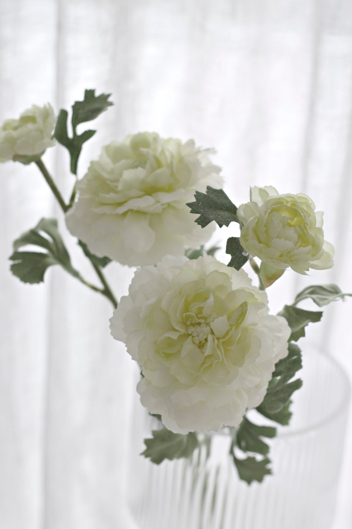 Cream and green ranunculus blooms filling the frame, layered petals in detail