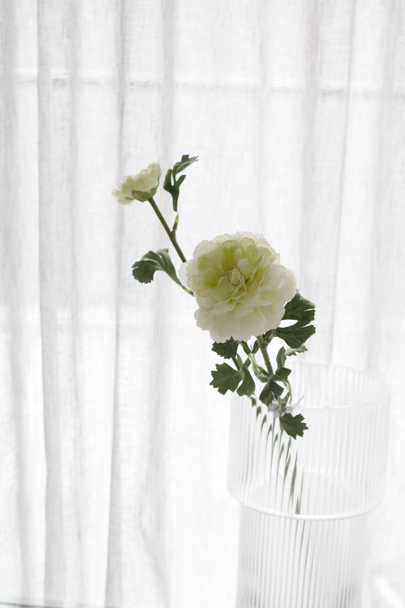 Garden Ranunculus- Cream/Green