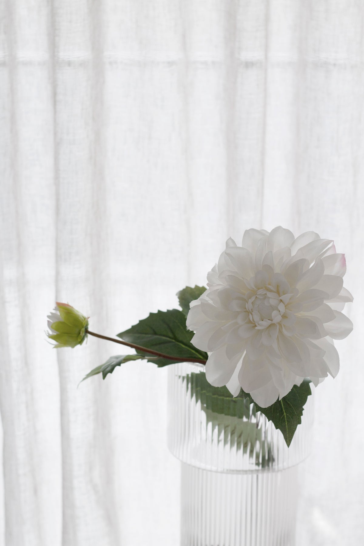 Grand Border Dahlia Stem, White 65cm Faux Flower