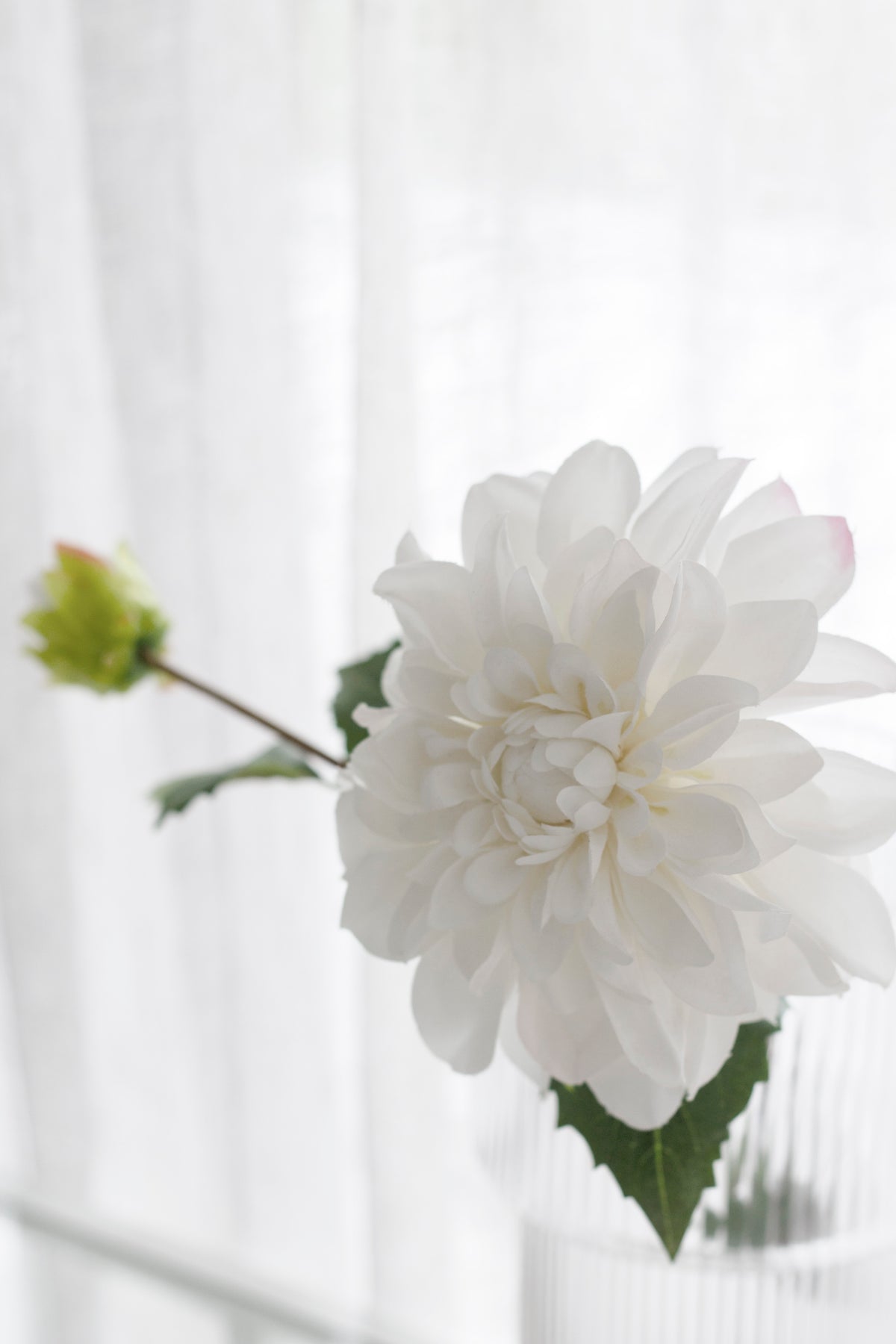 Grand Border Dahlia Stem, White 65cm Faux Flower