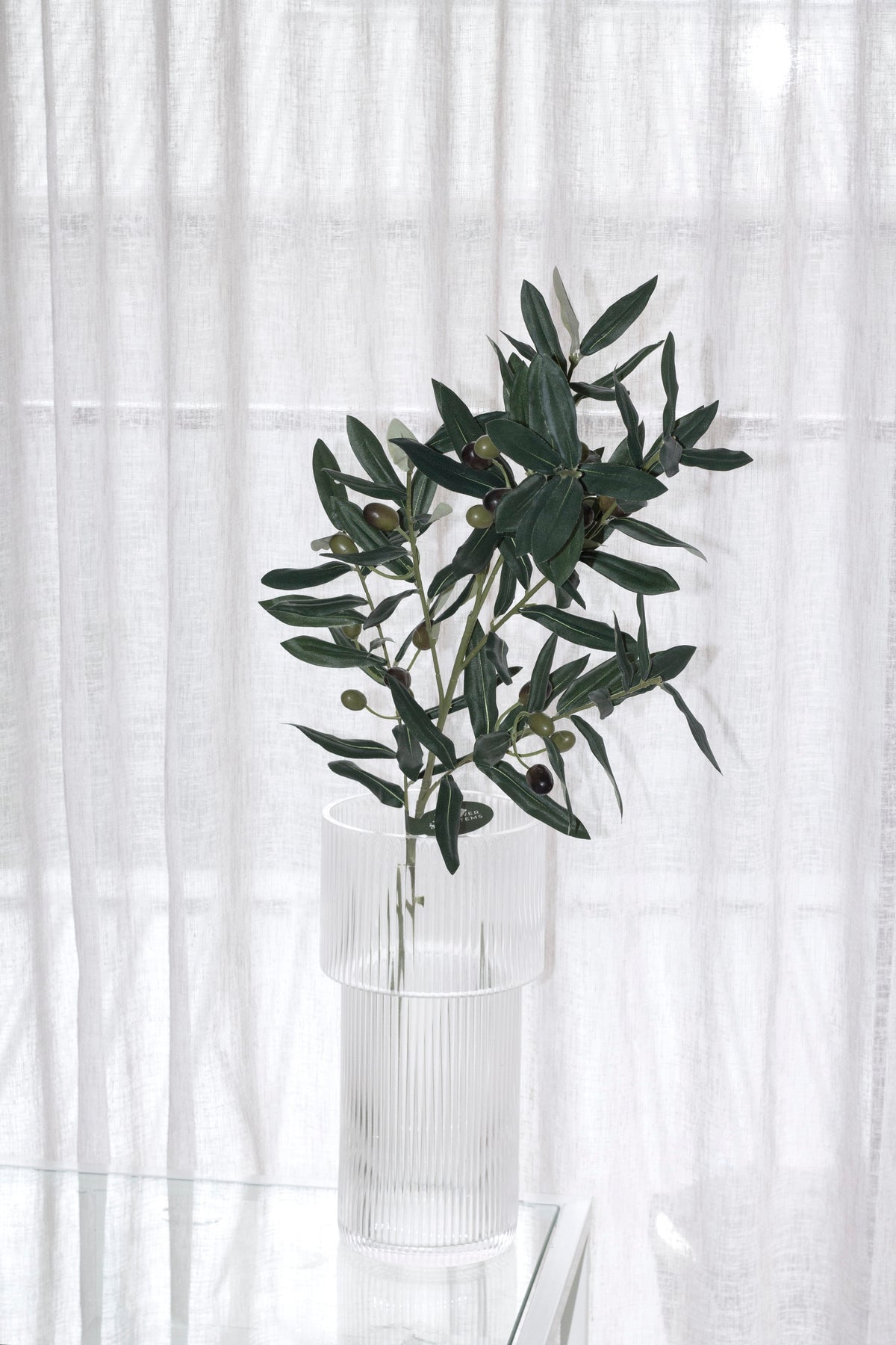 Olive stem in a glass vase on a pale shelf, curtain light behind