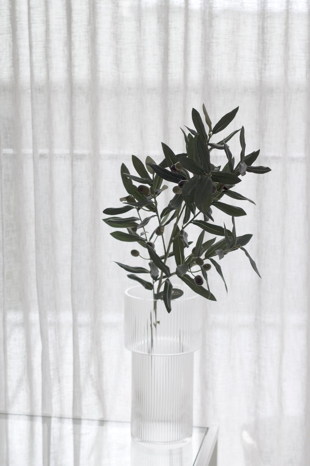 Olive branch in a clear glass vase beside a window, curtain folds behind