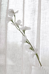 Sweet Pea Cream Faux Stem | 63cm