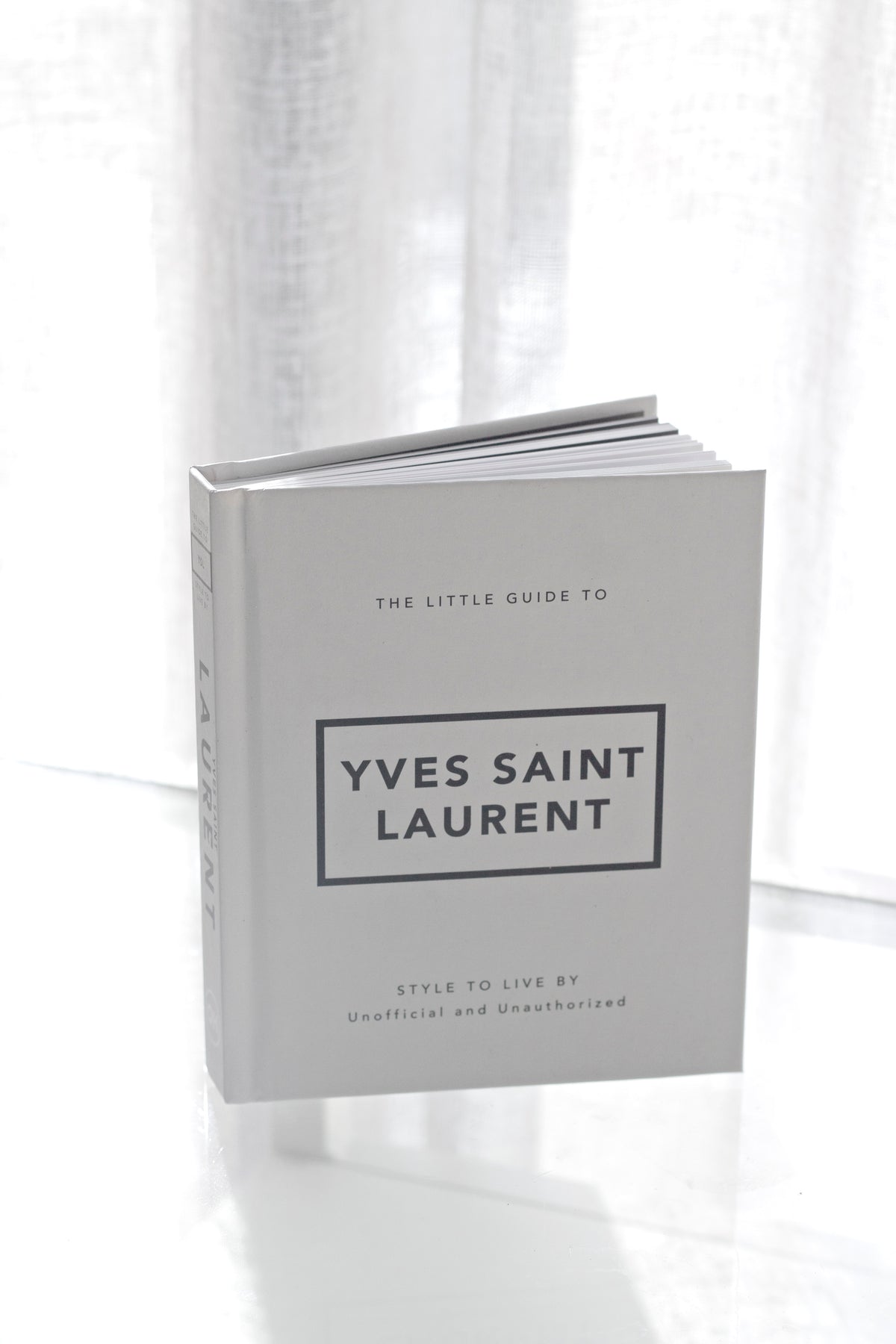 Little Guide to Yves Saint Laurent cover close-up detail