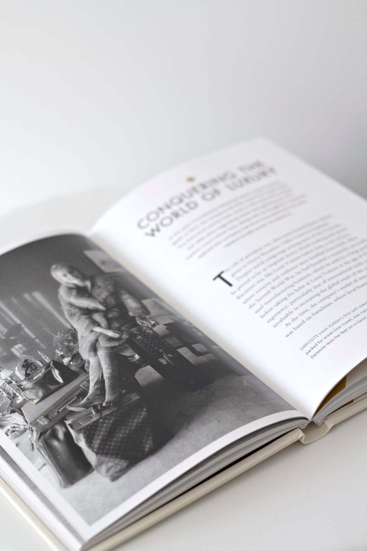 Little Book of Louis Vuitton open page spread showing fashion photography