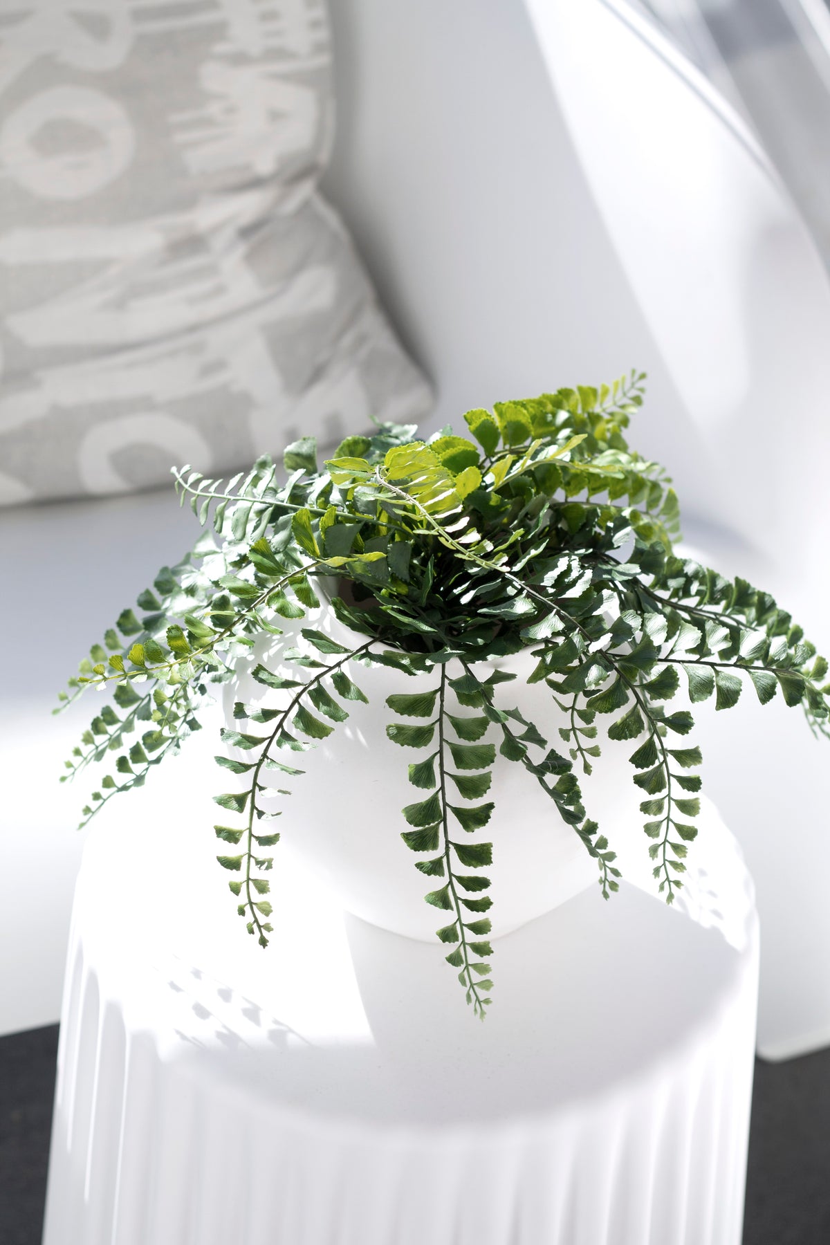 Maidenhair fern in a white pot on a fluted white stool beside a cushion