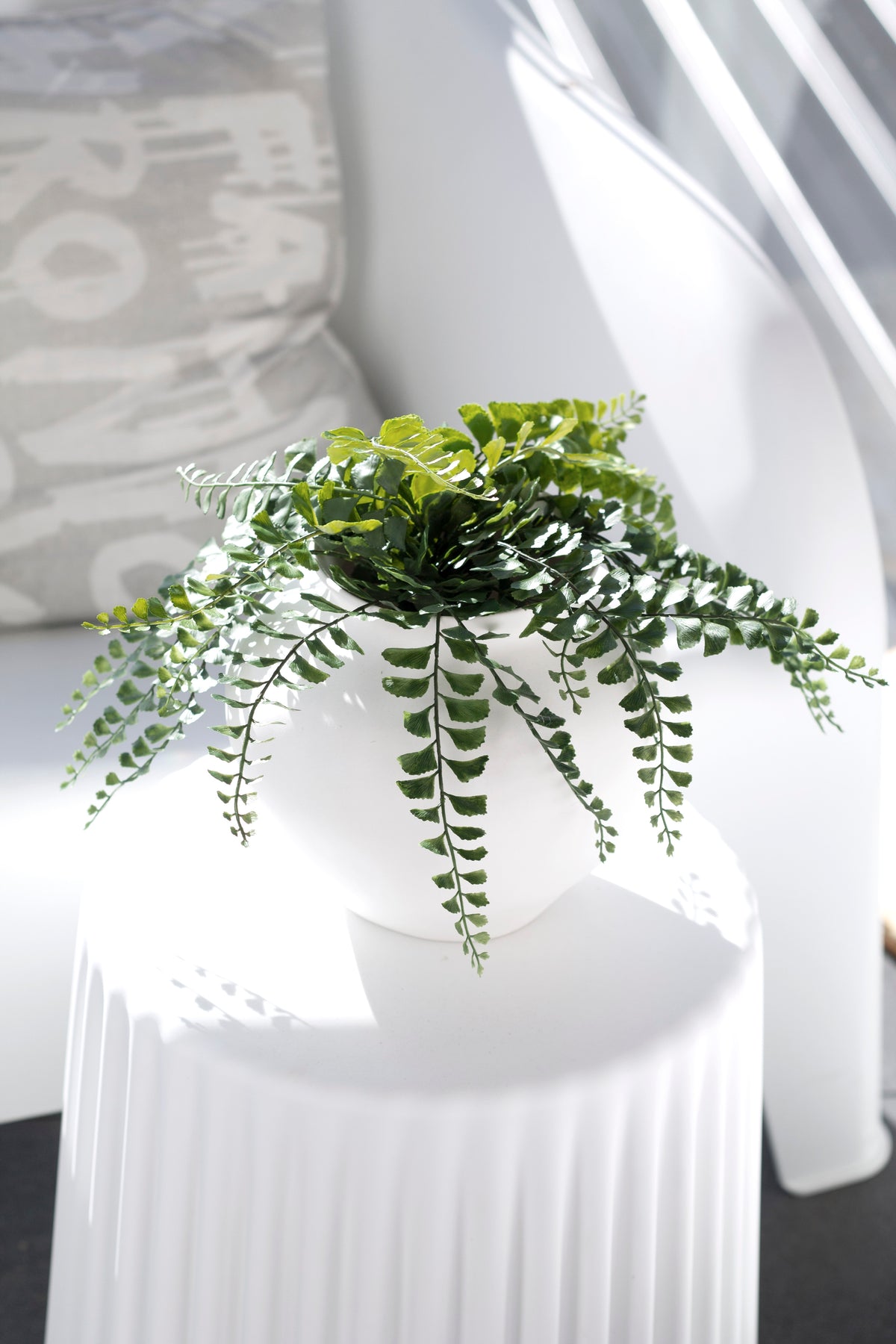 Maidenhair fern fronds spilling over a white pot on a fluted stool