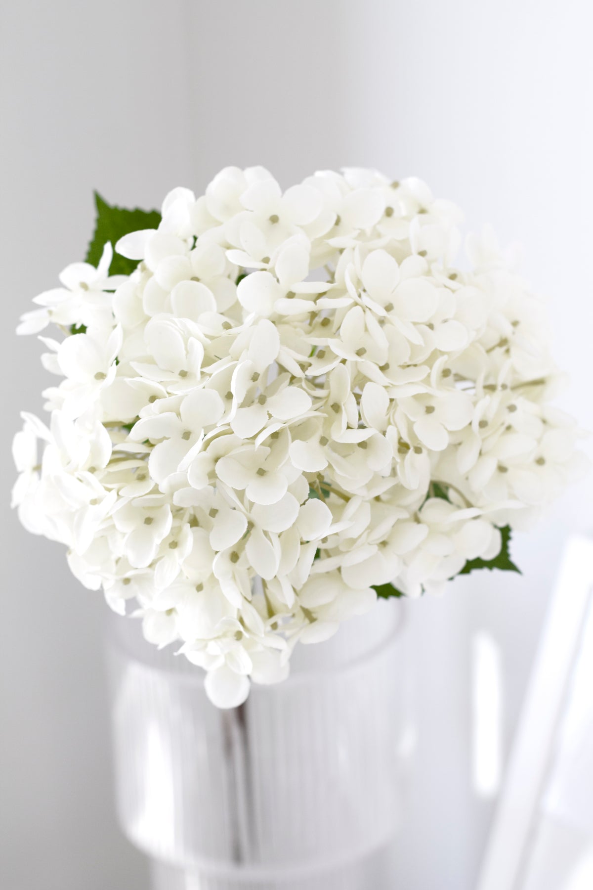 Annabelle Hydrangea Stem, Cream 63cm Faux Flower