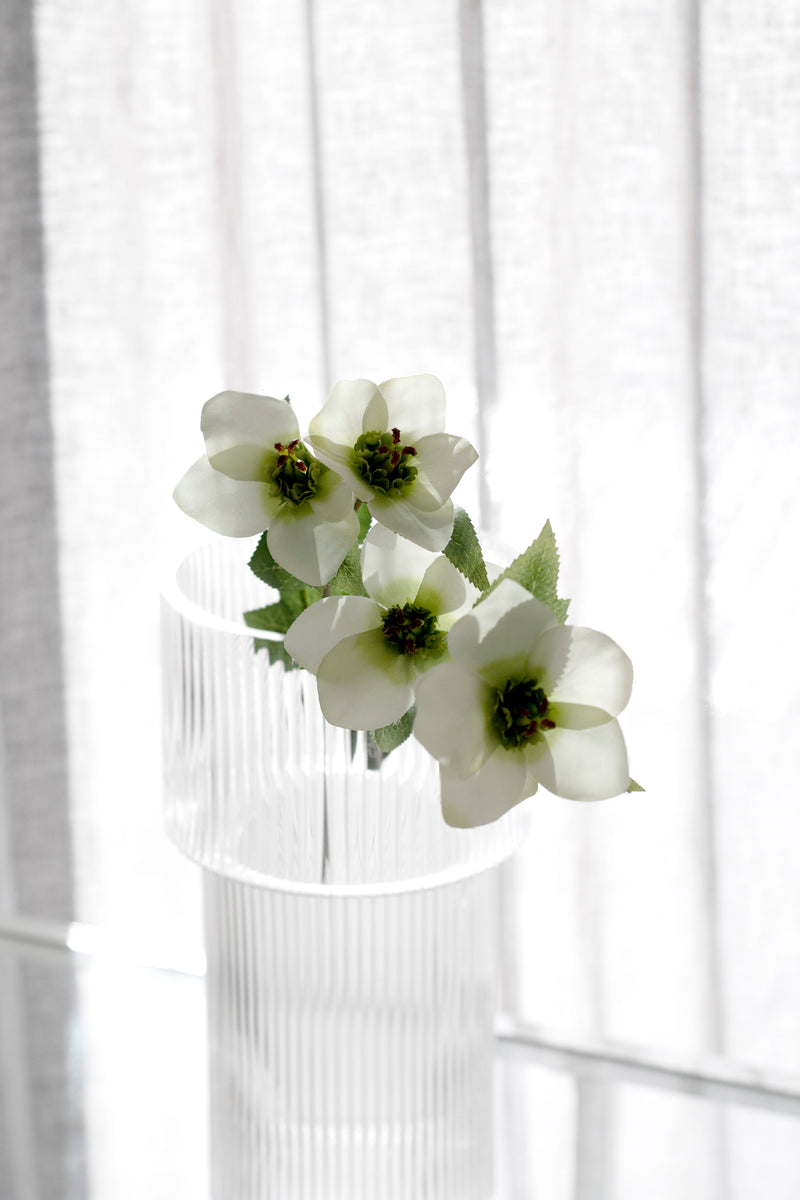 Hellebore Spray - Various Options