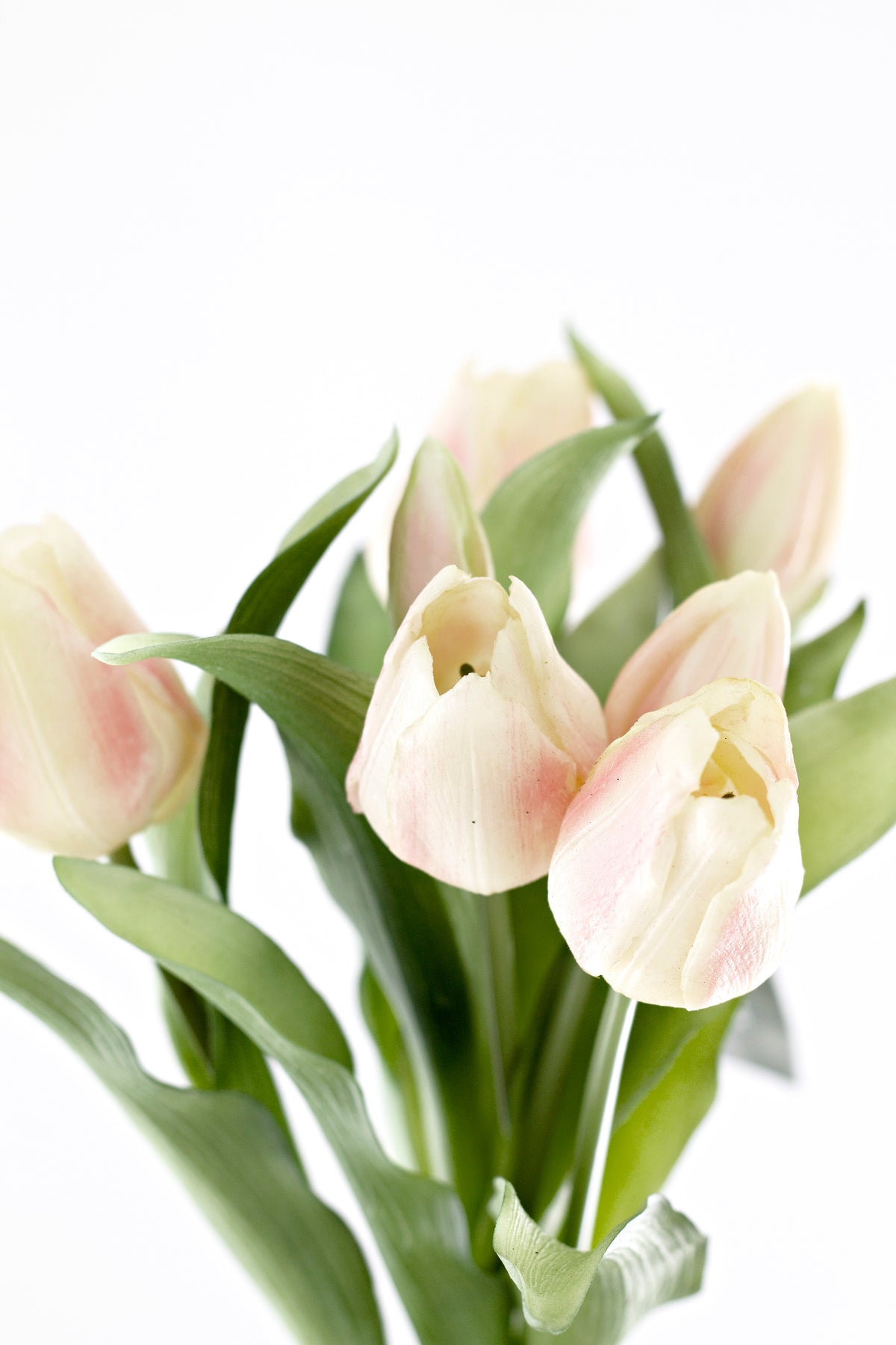 Close up of pale pink and cream faux tulip heads with green leaves