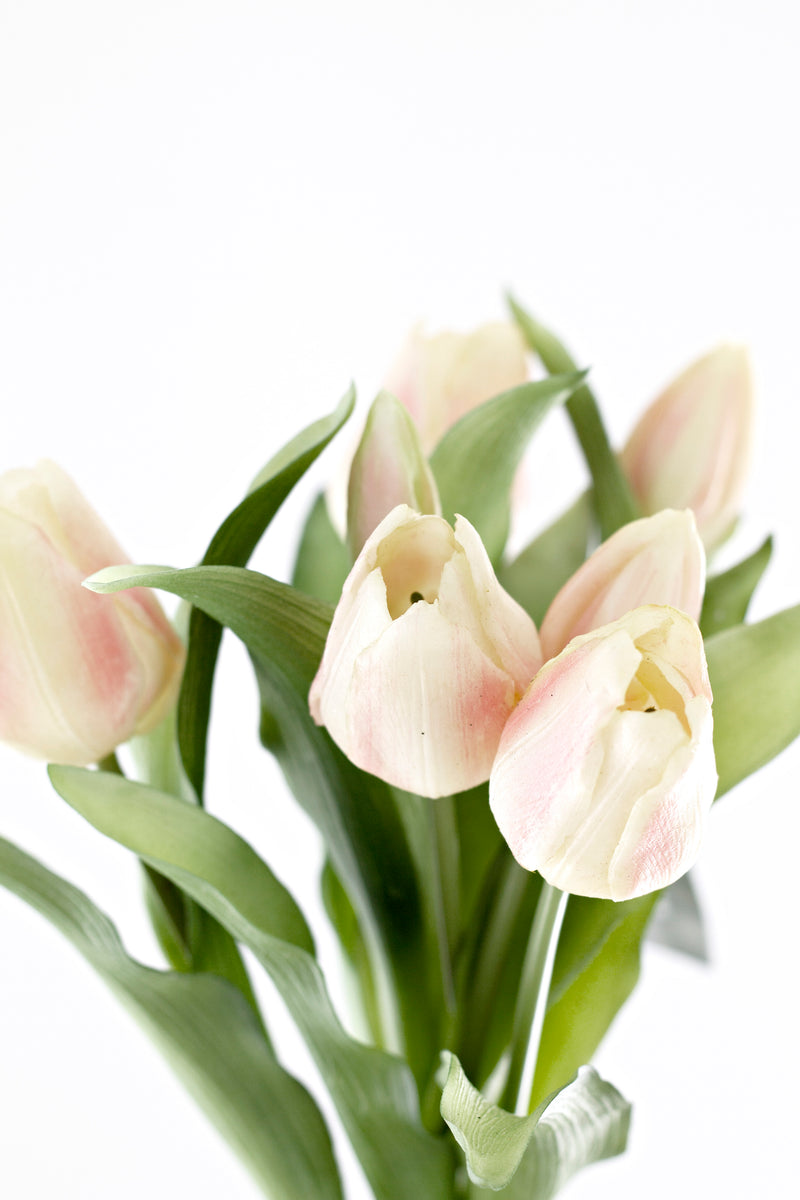 Tulip Bouquet