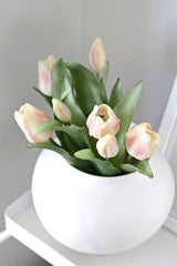 Tulip Bouquet