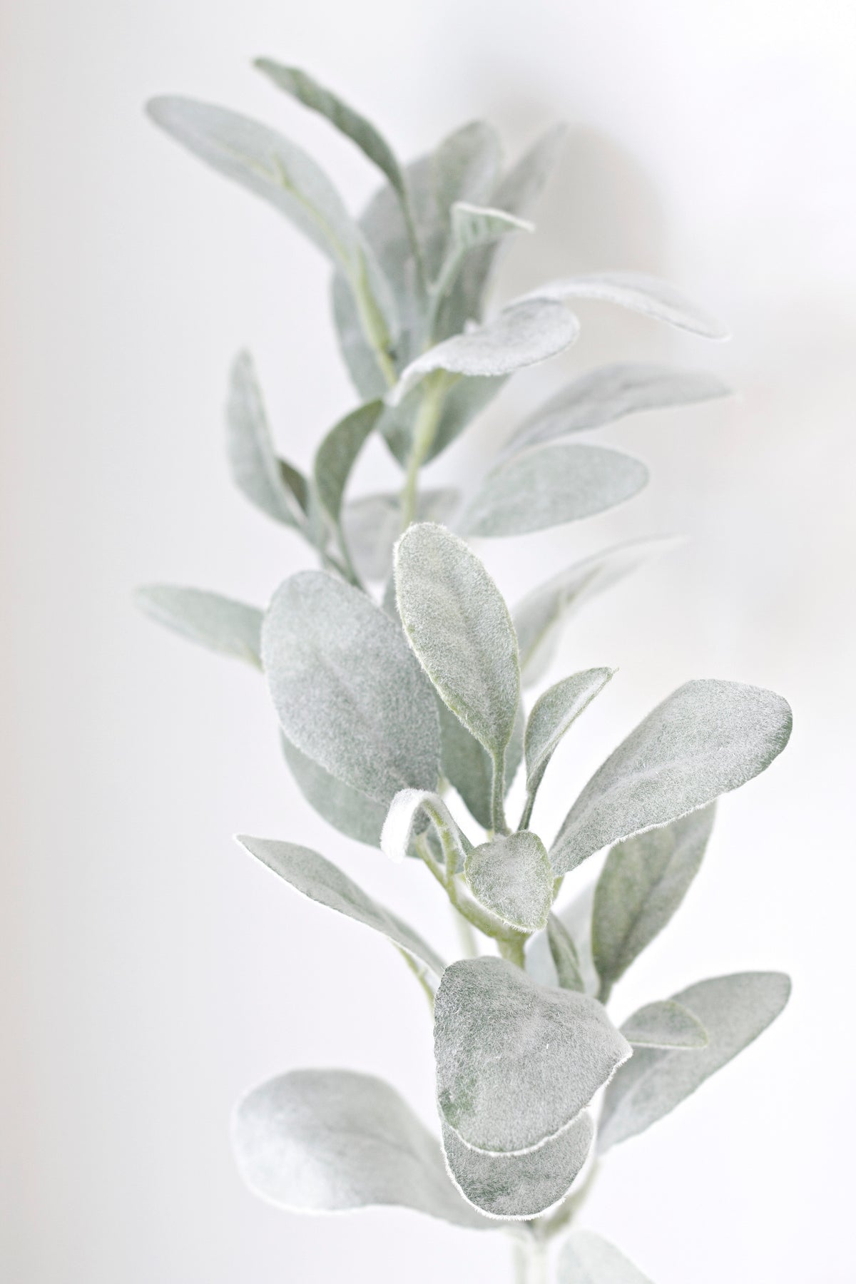 Lamb's ear faux stem styled on a shelf