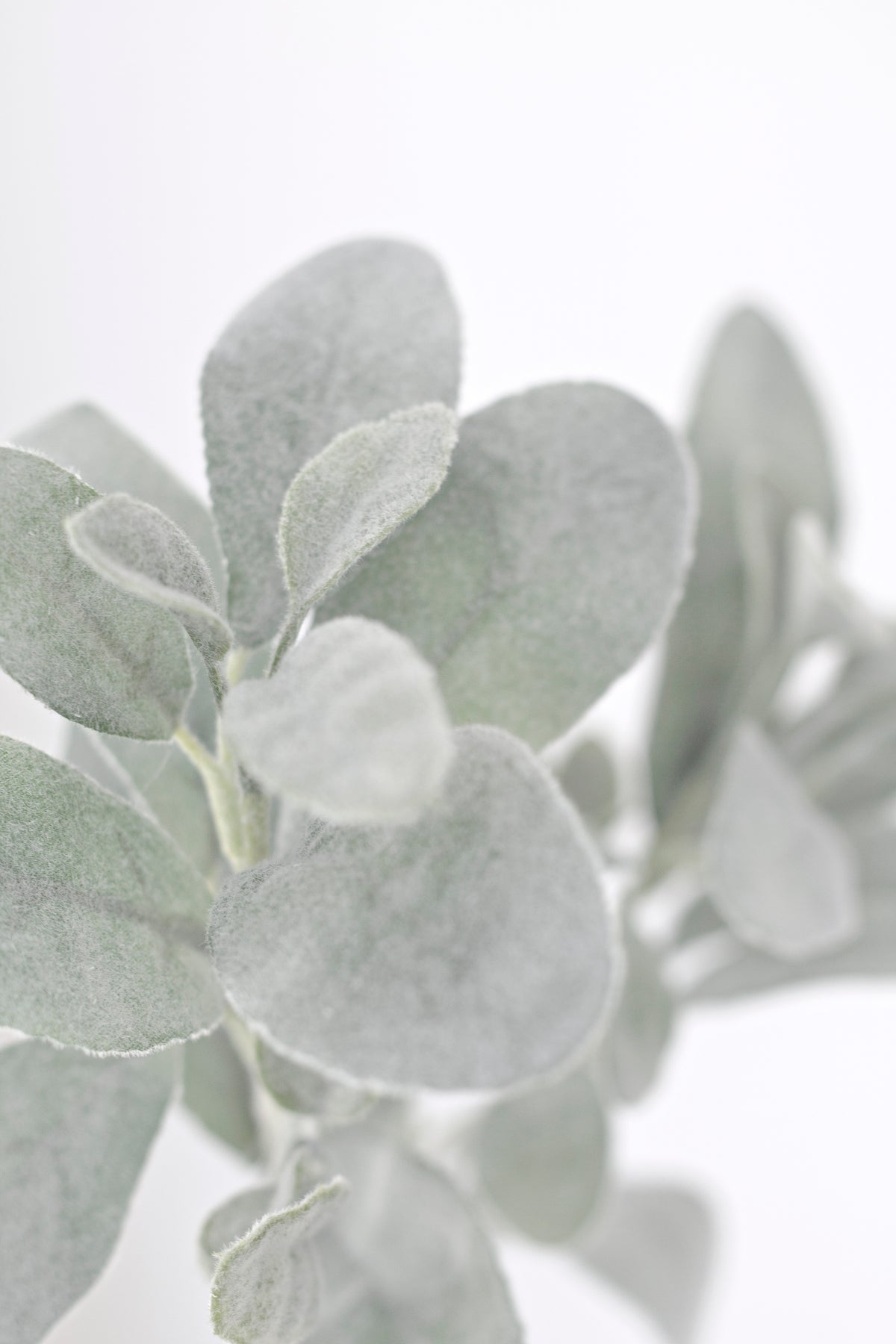 Lamb's ear faux foliage paired with blooms