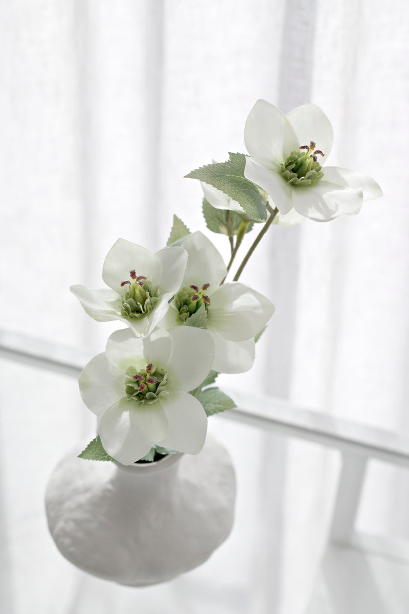 Hellebore Spray - Various Options