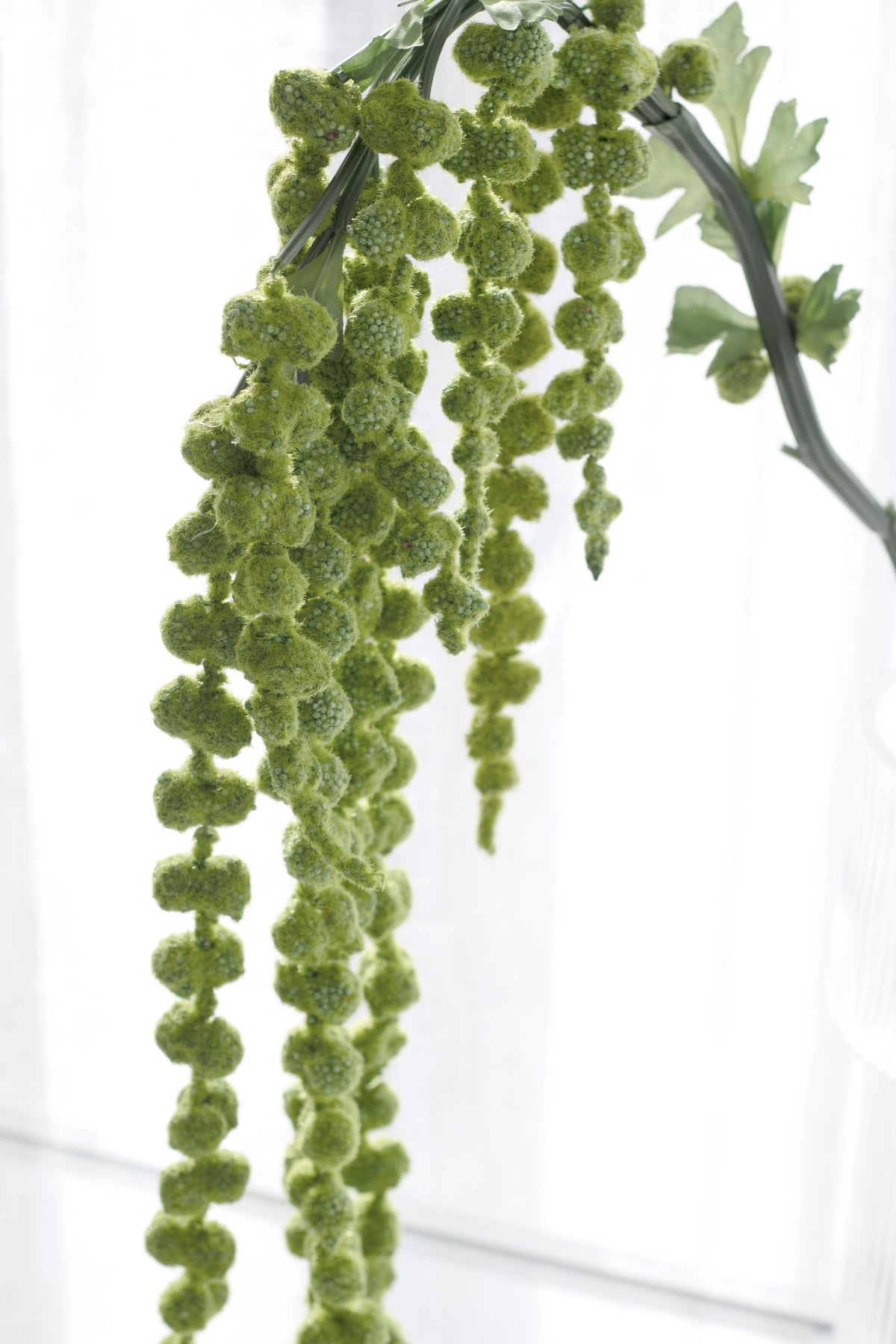 Amaranth Stem, Green or White Faux Stem