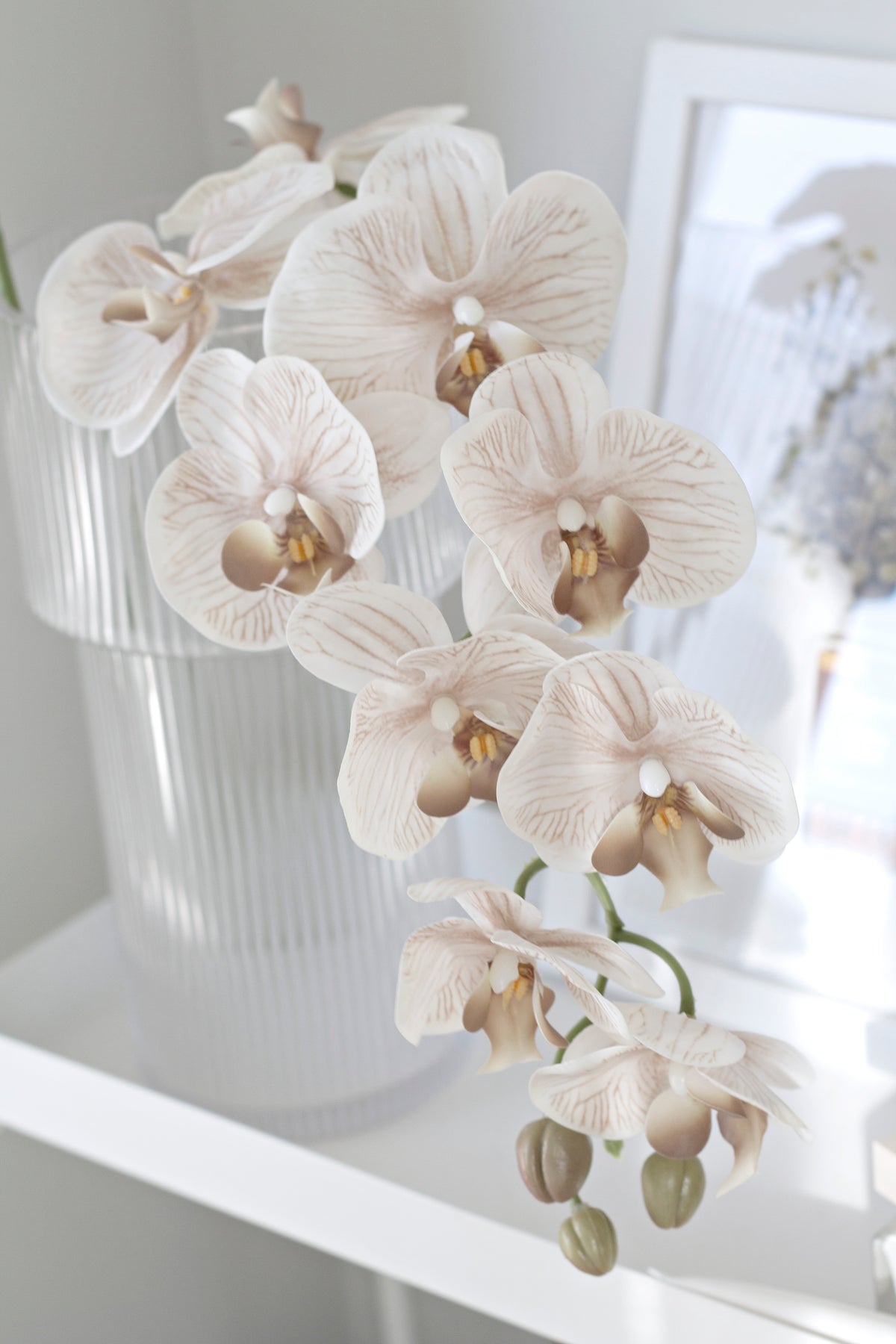 Orchids in a ribbed glass vase on a white ledge with a leaning frame behind